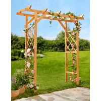 promadino Rosenbogen "Pergola Ben", BxTxH: 200x65x208 cm von Promadino