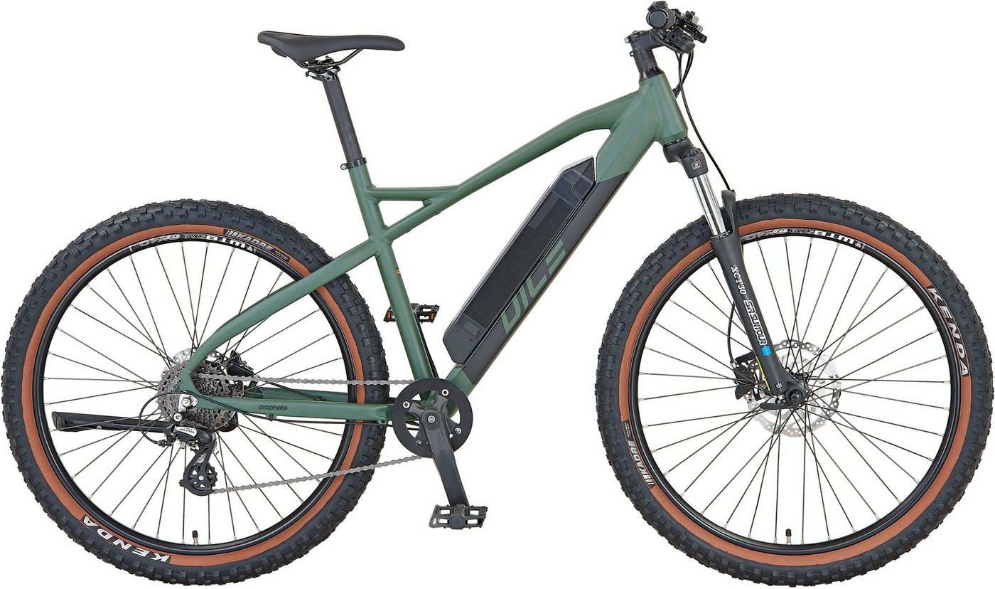 Prophete E-Bike DICE 1.0, 8 Gang Shimano Altus Schaltwerk, Kettenschaltung, Heckmotor, 418 Wh Akku von Prophete