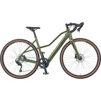 Prophete E-Bike "Graveler 1.0", 8 Gang, Shimano, Heckmotor 250 W von Prophete