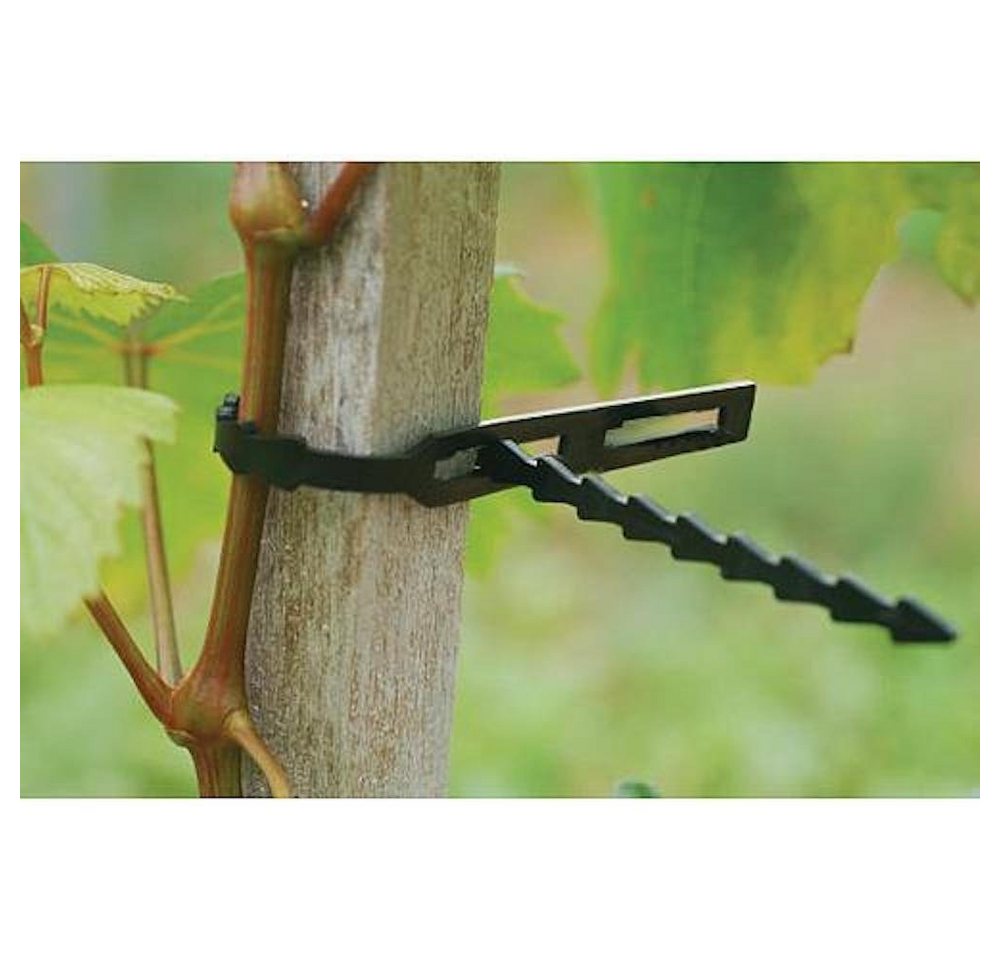 PROREGAL® Gartenpflege-Set Bindedraht PVC, Pflanzenclip, Pflanzenklammern, 220mm, Verpackung 80 S PROREGAL® Gartenpflege-Set Bindedraht PVC, Pflanzenclip, Pflanzenklammern, 220mm, Verpackung 80 S von PROREGAL®