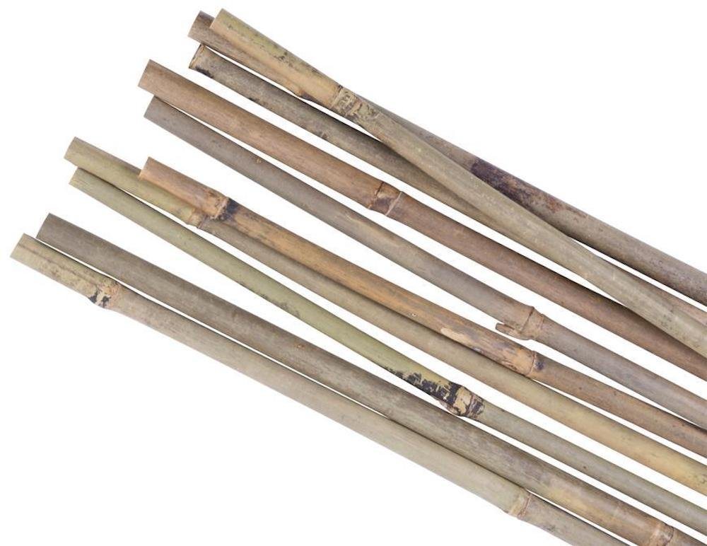 PROREGAL® Rankgitter Pflanzstab KBT 1050/10-12mm, 10 Stück, Bambus, für Pflanzenunterstützu von PROREGAL®
