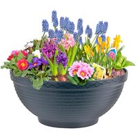 10x Pflanzen Schale Übertopf Blumenkübel Kräutergefäß Garten Dekoration von Prosperplast