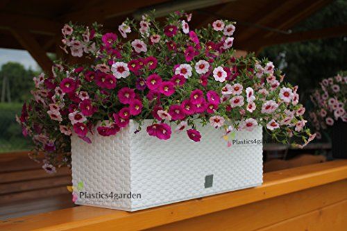 17 L Pflanzkübel Blumentopf L 500 mm Blumenbank in Rattan-Optik Bewässerungssystem Rato Serie weiss viereckig von Prosperplast