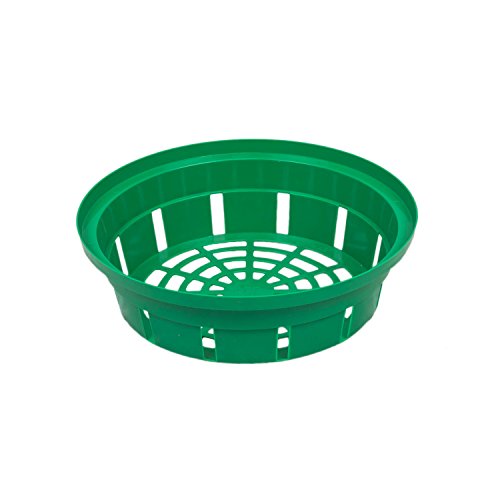 Prosper Plast ikce1-g642 20 x 5,7 cm Zwiebel Korb – Grün (12) von Prosperplast