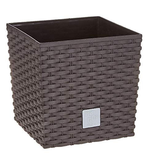 Prosper Plast drts170l-440u 17 x 17 x 17 cm "Rato" Low Blumentopf – Dunkelbraun von Prosperplast
