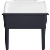 PROSPERPLAST Hochbeet »Respana Planter Set«, BxHxL: 387 x 820 x 770 mm, anthrazit - grau PROSPERPLAST Hochbeet »Respana Planter Set«, BxHxL: 387 x 820 x 770 mm, anthrazit - grau von Prosperplast