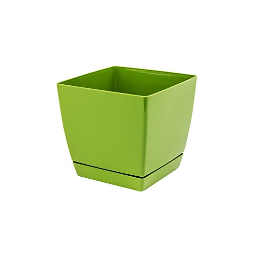 Prosper Plast dukp120–370u 20 x 20 x 11 cm"Coubi" Blumentopf – Olive Prosper Plast dukp120–370u 20 x 20 x 11 cm"Coubi" Blumentopf – Olive von Prosperplast