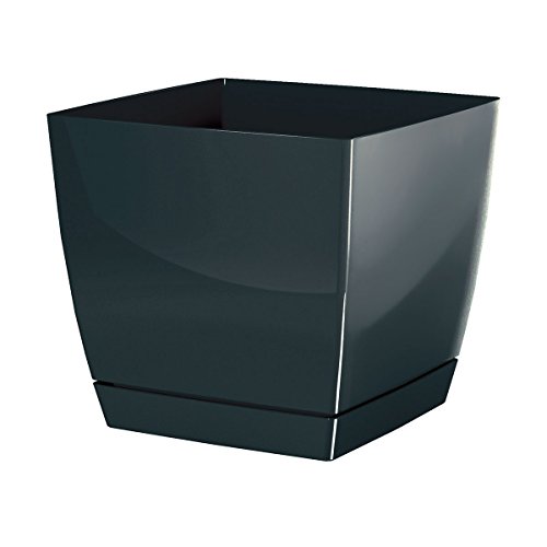 Prosper Plast dukp120–426U 20 x 20 x 11 cm Coubi Blumentopf – Dunkelgrau Prosper Plast dukp120–426U 20 x 20 x 11 cm Coubi Blumentopf – Dunkelgrau von Prosperplast