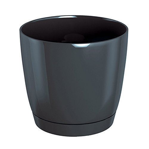 Maceta Redonda de plastico Coubi Round P en Color Grafito 15,5 (Largo) x 15,5 (ancho) x 14,2 (altura) cm von Prosperplast