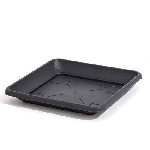 Prosper Plast pkwt27-s433 27 x 27 x 3,8 cm "Untertasse – Anthrazit von Prosperplast