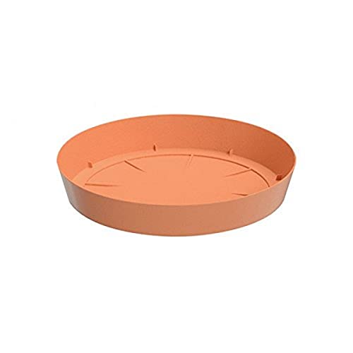Prosper Plast pplf190-r624 19 x 3.1 cm "lofly" Untertasse Ständer – Terracotta (12-teilig) von Prosperplast