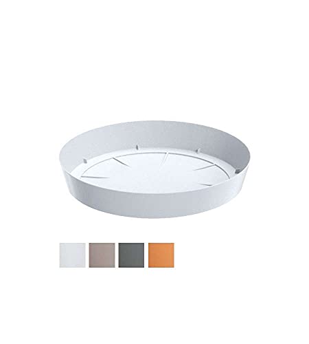 Prosper Plast pplf270-s449 27 x 4,4 cm "lofly" Untertasse Ständer – Weiß (12) von Prosperplast