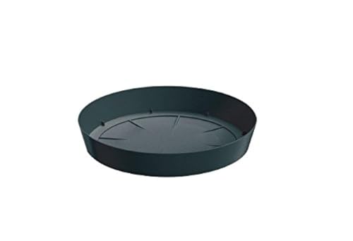 Prosper Plast pplf380-s433 38 x 6,2 cm "lofly" Untertasse stehen – Anthrazit (12-teilig) von Prosperplast