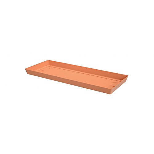 Prosper Plast pplfc535-r624 53,5 x 21,2 x 3,4 cm "lofly" Untertasse Fall stehen – Terracotta (12-teilig) von Prosperplast