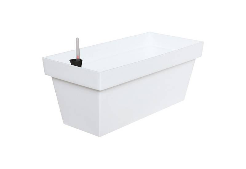 Prosperplast Blumenkasten Cube Case 40 cm lang 8 Liter mit Bewässerungssystem Wasserspeicher von Prosperplast