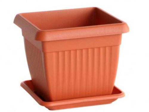 Prosperplast Blumentopf, quadratisch, Terrakotta Kunststoff 19 x 19 cm Deco Pflanze Garten Balkon von Prosperplast