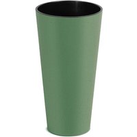 Prosperplast Blumentopf TUBUS SLIM Grün 25 cm Prosperplast Blumentopf TUBUS SLIM Grün 25 cm von Prosperplast