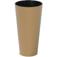 Prosperplast Blumentopf TUBUS SLIM Natur 20 cm Prosperplast Blumentopf TUBUS SLIM Natur 20 cm von Prosperplast