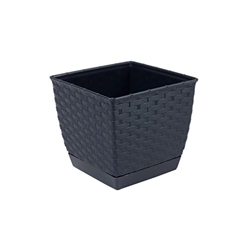 Prosper Plast drlk165-s433 16,5 x 16,5 x 14,2 cm "ratolla" Square Blumentopf – Anthrazit (12-teilig) von Prosperplast