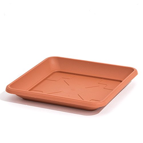 Sockel/Platte für Blumentopf TERRA, Abmessungen (mm) 410x410x55, Farbe Terrakotta Sockel/Platte für Blumentopf TERRA, Abmessungen (mm) 410x410x55, Farbe Terrakotta von Prosperplast