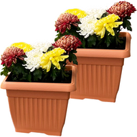 Powertec Garden Pflanztopf "Lucca" - 2er-Set, Terrakotta, Eckig, je ca. 30 x 30 x 25 cm von Protanic