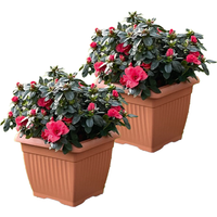 Powertec Garden Pflanztopf "Lucca" - 2er-Set, Terrakotta, je ca. 24 x 24 x 20 cm, Eckig von Protanic
