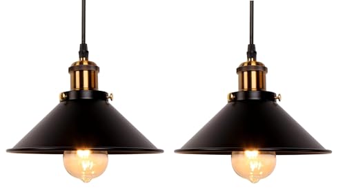 Provance 2 Stück Hängeleuchte Pendelleuchte Deckenleuchte mit E27 LED Leuchtmittel 6,5 Watt Metall Schwarz Hängelampe Glühlampe Deckenlampe Wohnlampe Wohnleuchte von Provance
