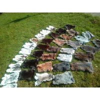25x Kaninchenfelle Hasenfelle Kaninchenfell Kaninchen Fell B Ware Zum Top Preis 25x Kaninchenfelle Hasenfelle Kaninchenfell Kaninchen Fell B Ware Zum Top Preis von Provellus