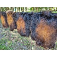 Echte Öko Island Lammfell Schaffell Fell Lange Wolle Schwarz-Goldbraun von Provellus