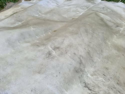 Echte Rohhaut Pergament Rohleder Ritter Schild Trommelleder von Provellus