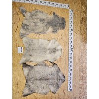 Echtes Gotland Öko Schaffell Unikat 44-104 Echtes Gotland Öko Schaffell Unikat 44-104 von Provellus