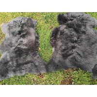 Echtes Hochwertiges Öko Schaffell Lammfell Fell Top Dk Grau L-xxl von Provellus