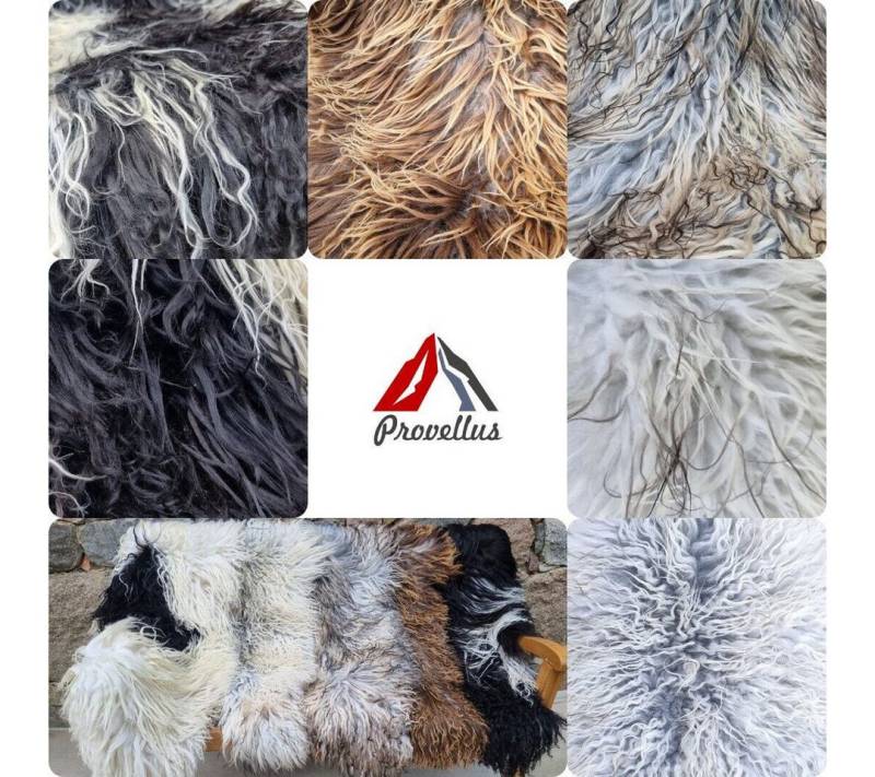 Provellus Fellteppich Premium Island Schaffell Natur Curly Langhaarig Naturfarbe Multicolor von Provellus