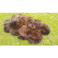 Öko Xxxxl Schaffelle Schaffell Bettvorleger/Teppich Lammfelle Läufer von Provellus