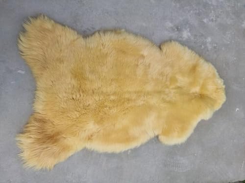 Premium Natur Schaffell Schaffelle Fell Lammfell ungeschoren weiche Wolle (Medizinisch gegerbt, 120-130cm x 70-75cm) von Provellus