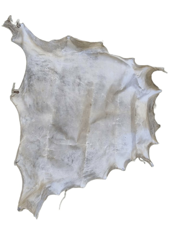 Provellus Bastelnaturmaterial Echte Rohhaut Pergament Rohleder Ritter Schild Trommelleder von Provellus