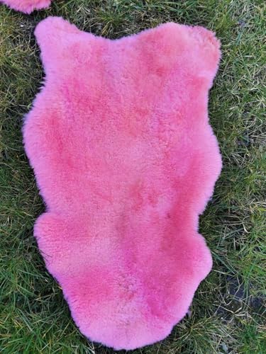 Provellus ECHTE ÖKO LAMMFELL SCHAFFELL ROSA Felle TOP GESCHORENE DICHTE Wolle NEU L - XXL (100-110 cm x 50-60 cm) von Provellus