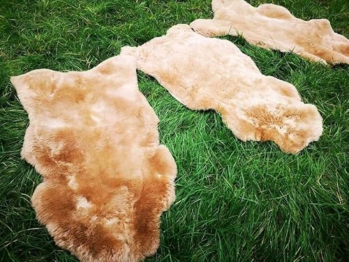 Provellus Echt Deutsche Merino Lammfell Schaffell Hellbraun Dichte Wolle Neu L - XXL (130-140 cm x 70-90 cm) von Provellus