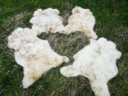 Provellus Echt Öko Schaffell Lammfell Fell Geflammt Bis 140cm 2.Wahl Schnäppchen (eher hell geflammt, 30x30cm eckig) von Provellus