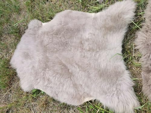 Provellus Echte Öko Schaffelle Lammfell Schaffell Fell Taupe Bis 140cm 2.Wahl Schnäppchen (eher kurz (2cm - 5cm), 70-80cm lang) von Provellus