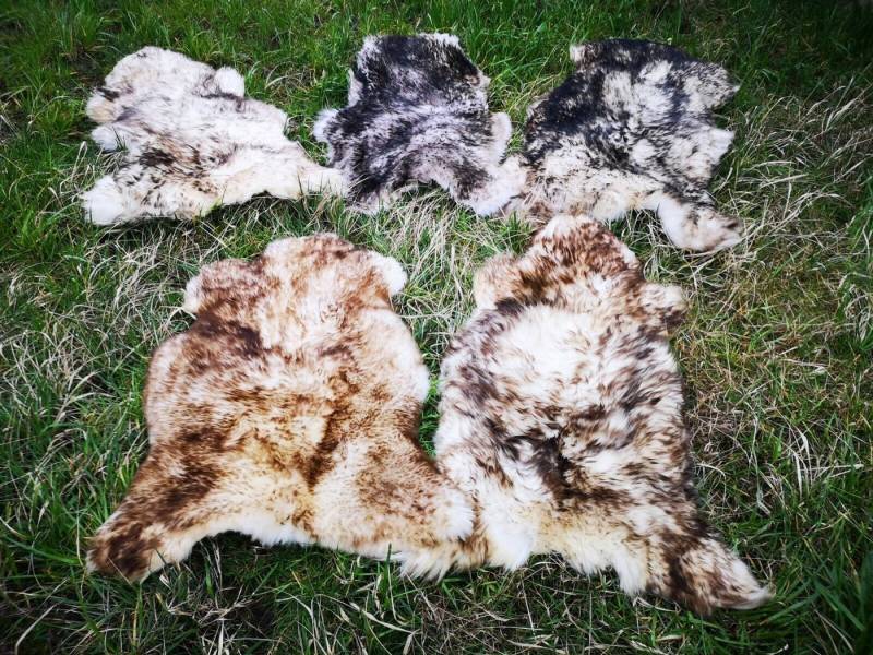 Provellus Fellteppich Echt Öko Schaffell Lammfell Fell Geflammt Bis 140cm 2.Wahl Schnäppchen, 30x30cm eckig von Provellus