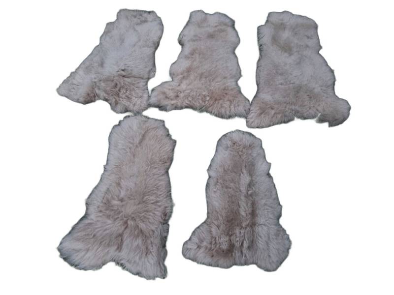 Provellus Fellteppich Echte Öko Schaffelle Lammfell Hellbraun / Cappuccino 2.Wahl Posten, 100-110cm lang von Provellus