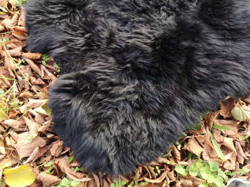 Provellus Fellteppich Echte Öko Schaffelle Lammfell Schaffell Fell Schwarz Bis140cm 2.Wahl, 30x30cm eckig von Provellus