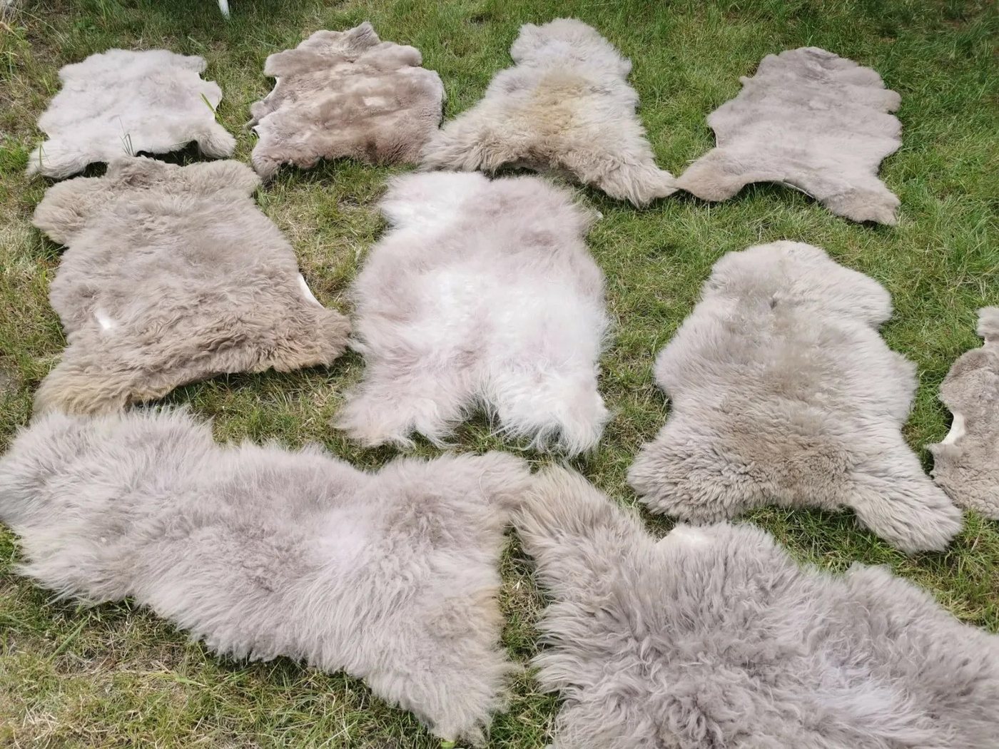 Provellus Fellteppich Echte Öko Schaffelle Lammfell Schaffell Fell Taupe Bis 140cm 2.Wahl, 30x30cm rund Provellus Fellteppich Echte Öko Schaffelle Lammfell Schaffell Fell Taupe Bis 140cm 2.Wahl, 30x30cm rund von Provellus