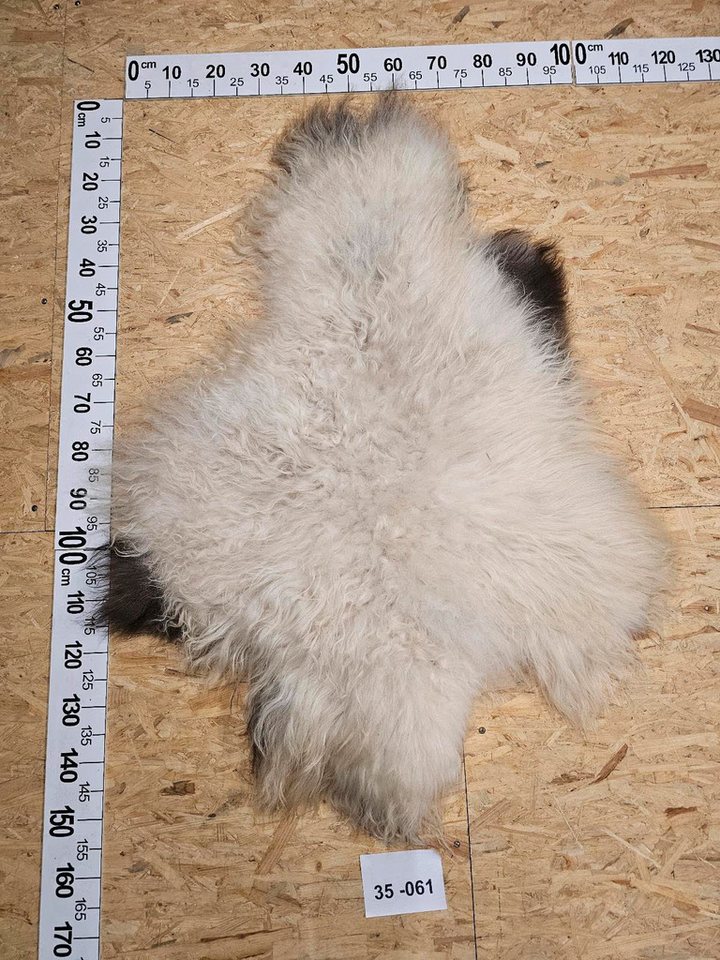 Provellus Fellteppich Echte XXXL Öko Schaffelle Unikate 35-061 Provellus Fellteppich Echte XXXL Öko Schaffelle Unikate 35-061 von Provellus