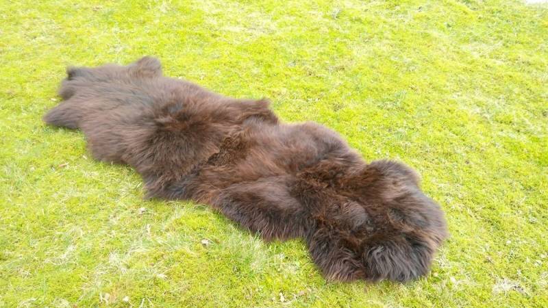 Provellus Fellteppich Öko Schaffell Läufer XXL – Zwei Felle, Naturbraun, ca. 180–200 cm Provellus Fellteppich Öko Schaffell Läufer XXL – Zwei Felle, Naturbraun, ca. 180–200 cm von Provellus