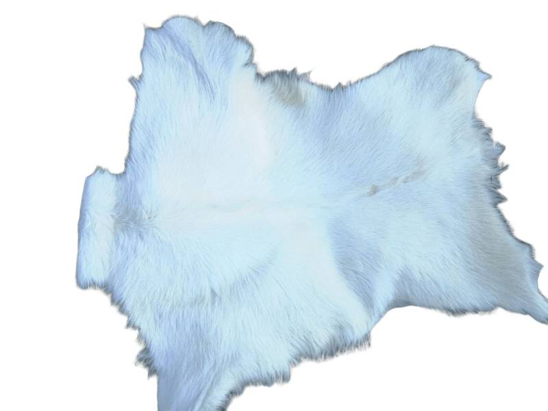 Provellus Fellteppich Ziegenfelle Ziegenfell Fell kein Geruch TOP Gerbung NATUR SCHNÄPPCHEN, 30-50cm von Provellus