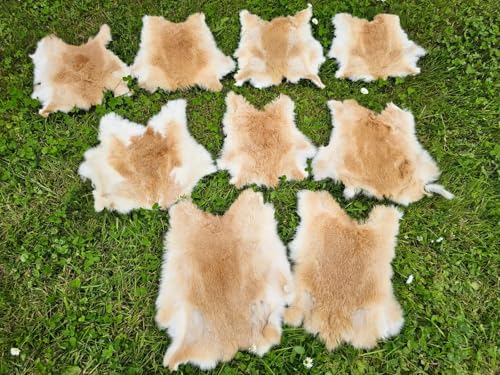 Provellus Kaninchen Felle Kaninchenfell viele Natur Farben TOP Gerbung (Beige, 10 Stück 1.Wahl) von Provellus