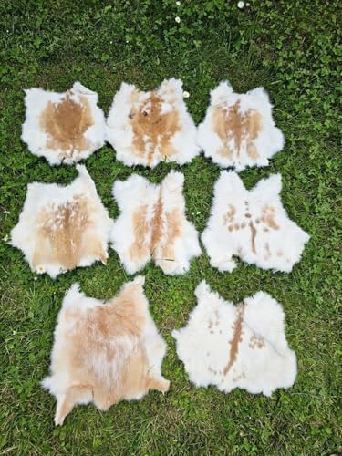 Provellus Kaninchen Felle Kaninchenfell viele Natur Farben TOP Gerbung (Beige gecheckt, 10 Stück 2.Wahl) von Provellus
