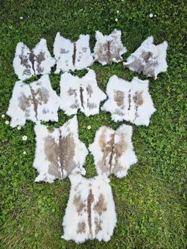 Provellus Kaninchen Felle Kaninchenfell viele Natur Farben TOP Gerbung (Braun gecheckt, 10 Stück 2.Wahl) von Provellus